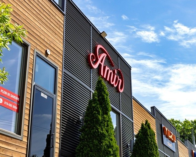 Amir food photography showing a plate of fresh vegetables.